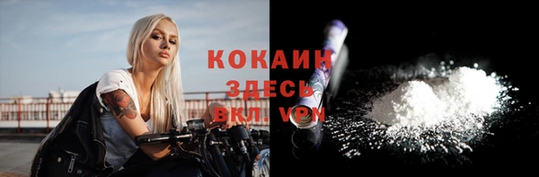мяу мяу мука Надым