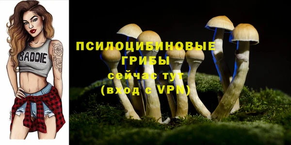 мдпв Наволоки