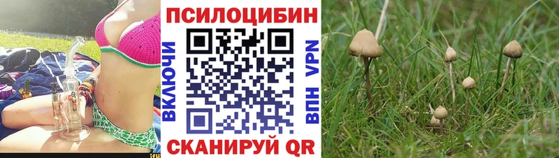 блэк спрут онион  Уфа  Галлюциногенные грибы Cubensis 