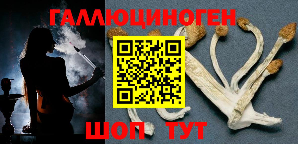 Галлюциногенные грибы Psilocybe  купить наркотики сайты  Вход с VPN  Уфа  Псилоцибиновые грибы мицелий 